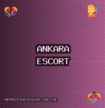 Ankara Escort: Pursaklar Escort, Çankaya Escort, Yenimahalle Escort