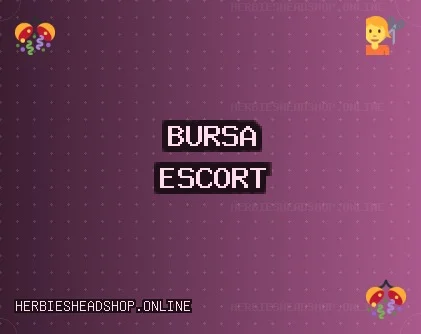 Bursa Escort: Orhaneli Escort, Büyükorhan Escort, Harmancık Escort