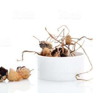BUY LIBERTY CAP MUSHROOMS ONLINE